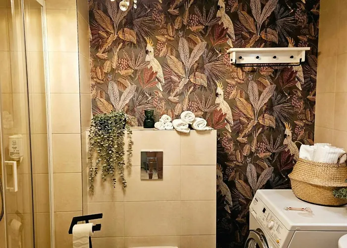 Silversmith's In Old Appartement Riga